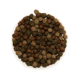 Img (2)7